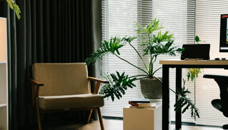 Benefits of Professional Cleaning for Indoor Air Quality